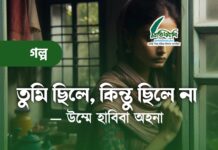 তুমি ছিলে, কিন্ত ছিলে না