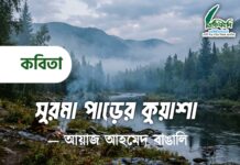 সুরমা পারের কুয়াশা